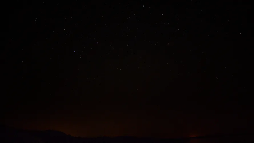 Perseids