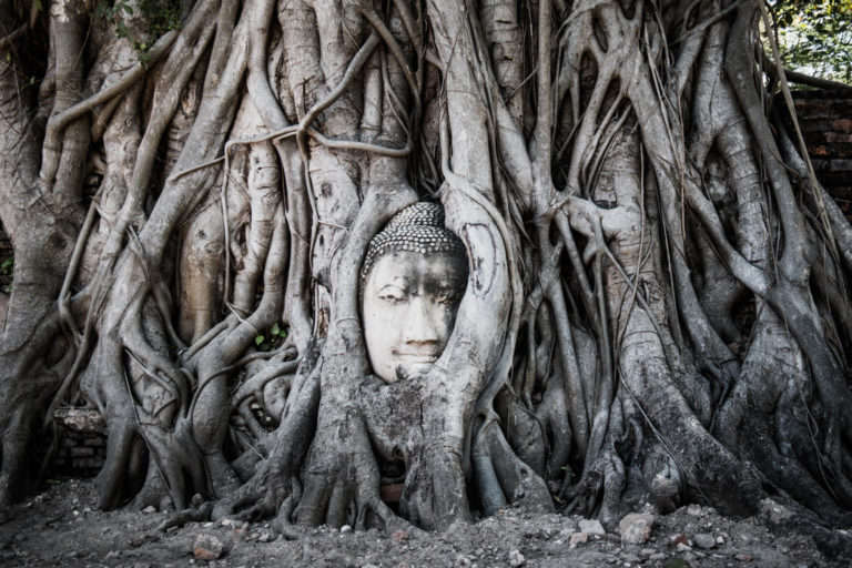 Ayutthaya Embedded head
