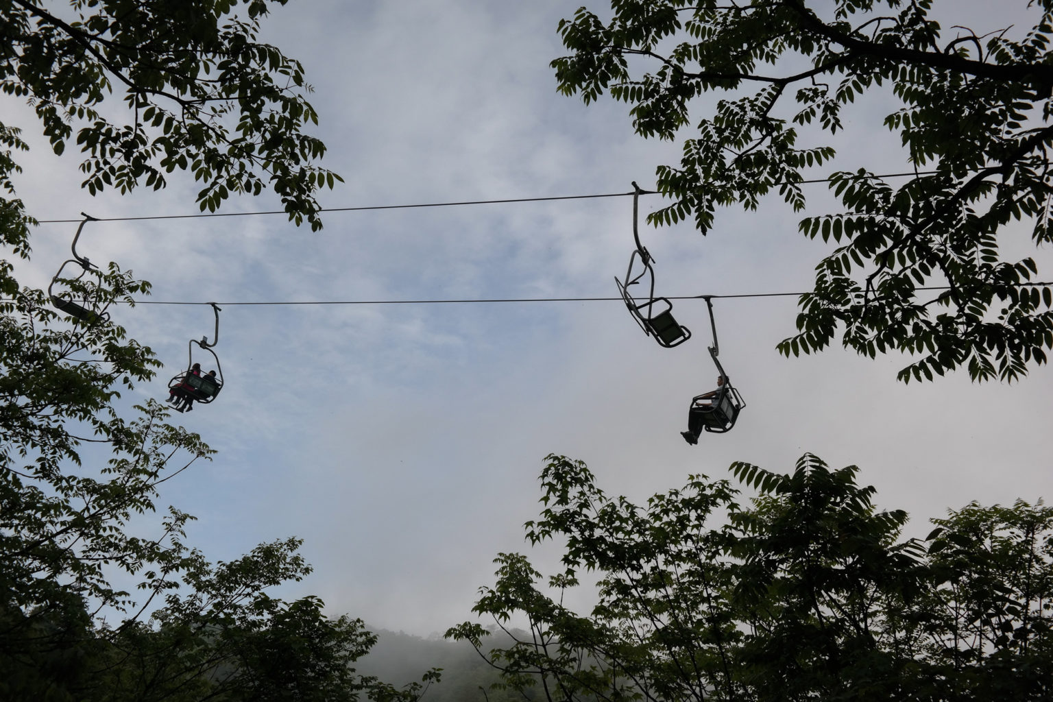 Forest SightSeeing Cable Car